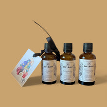 Load image into Gallery viewer, The Citrinity Box - 6 Months Supply of MultiPurpose Cleaning Refills (A Christmas Special)
